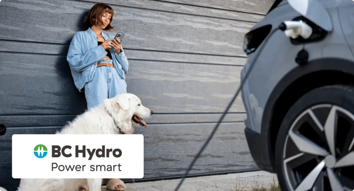 NeoCharge blog image