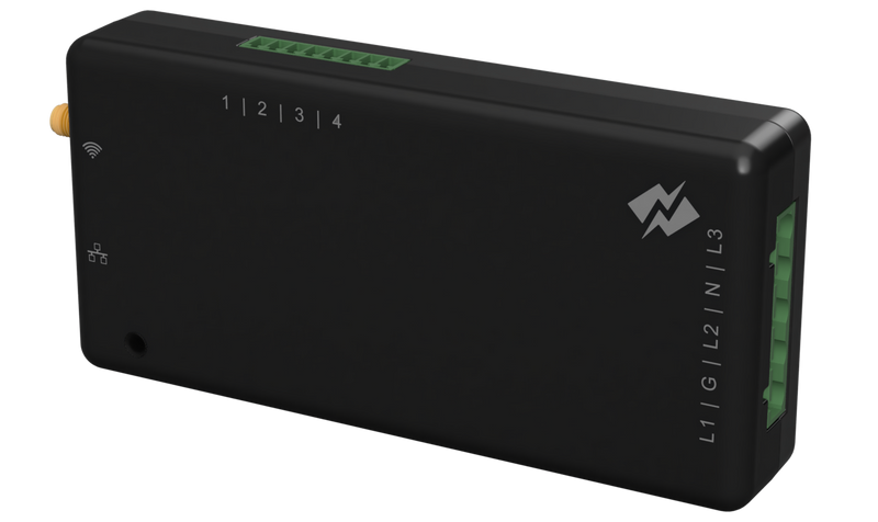 Exact Energy Monitoring